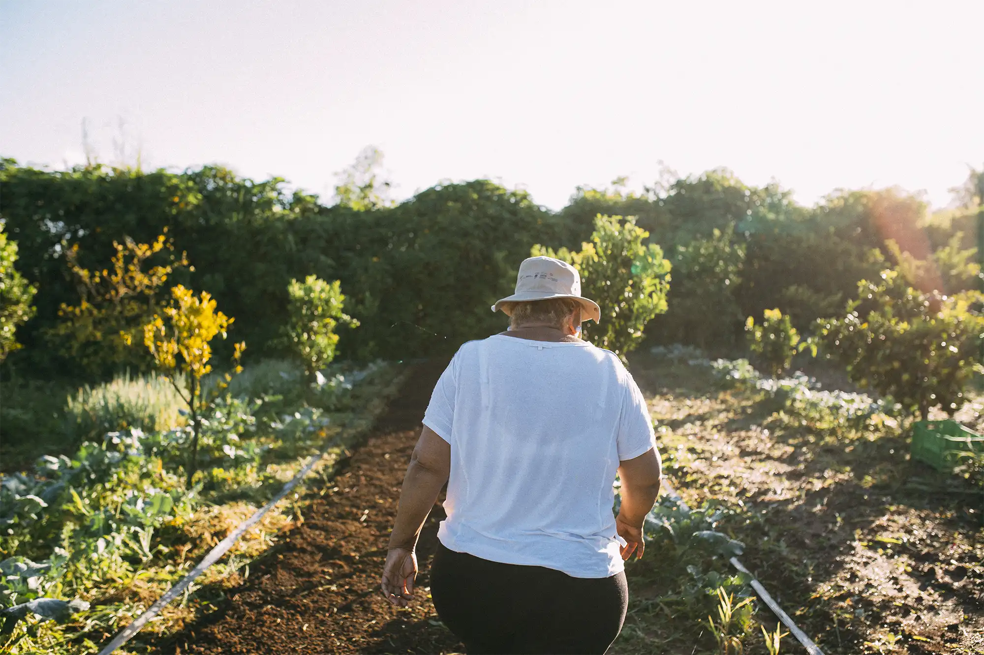 Educação Ambiental e Responsabilidade Corporativa - Social Comunicação